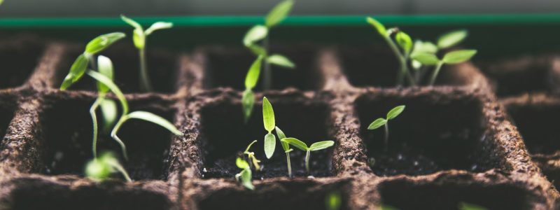 markus spiske vrbZVyX2k4I unsplash (1)